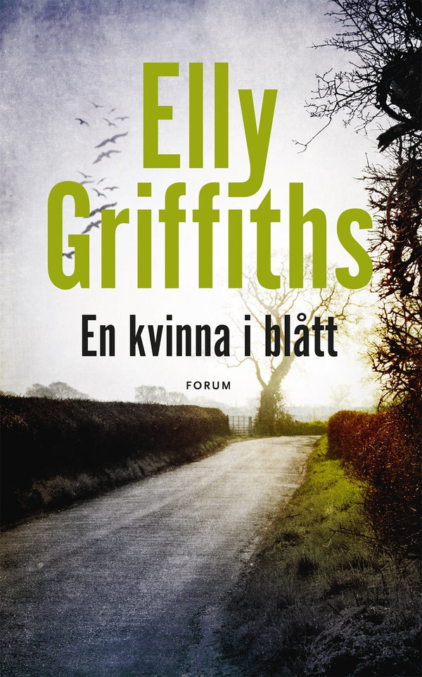 En kvinna i blått – E-bok – Laddas ner-Digitala böcker-Axiell-peaceofhome.se