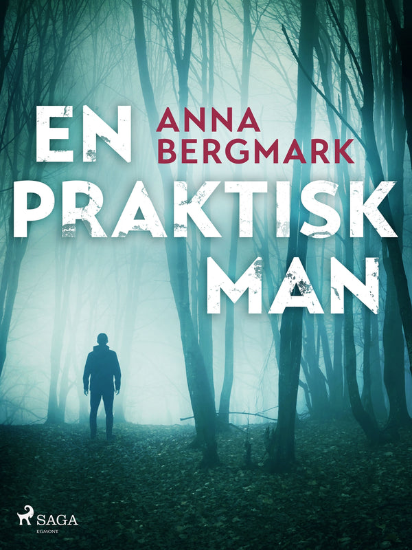 En praktisk man – E-bok – Laddas ner-Digitala böcker-Axiell-peaceofhome.se
