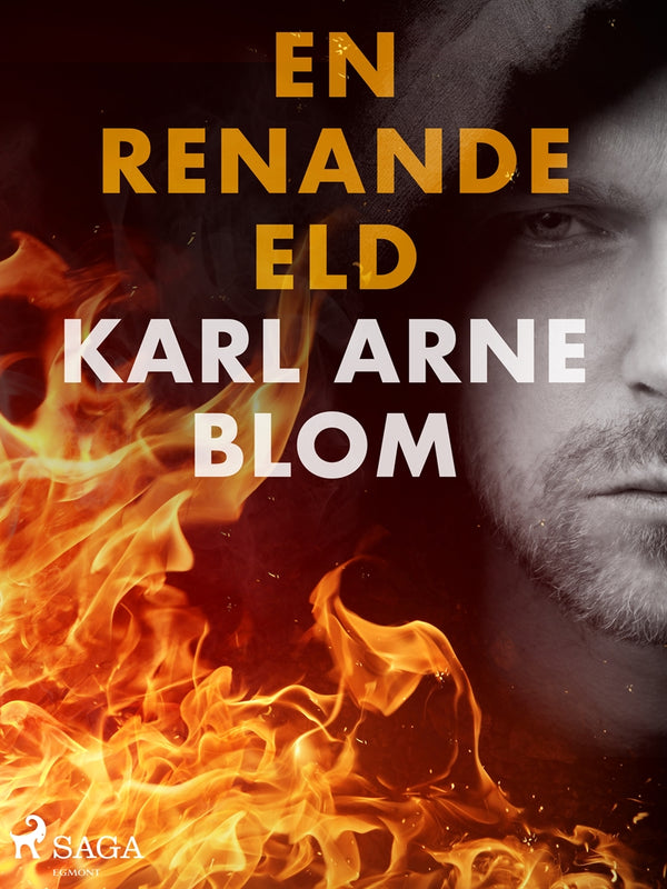 En renande eld – E-bok – Laddas ner-Digitala böcker-Axiell-peaceofhome.se