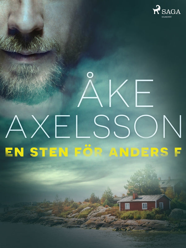 En sten för Anders F – E-bok – Laddas ner-Digitala böcker-Axiell-peaceofhome.se