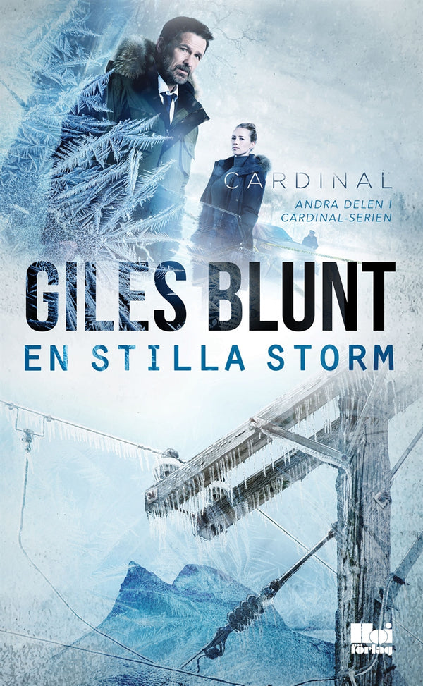 En stilla storm – E-bok – Laddas ner-Digitala böcker-Axiell-peaceofhome.se