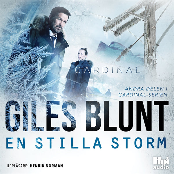 En stilla storm – Ljudbok – Laddas ner-Digitala böcker-Axiell-peaceofhome.se