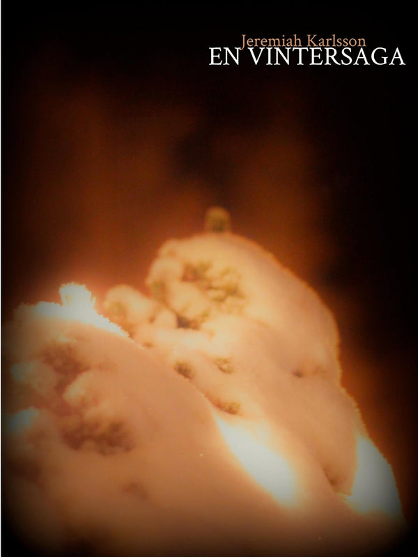 En vintersaga – E-bok – Laddas ner-Digitala böcker-Axiell-peaceofhome.se