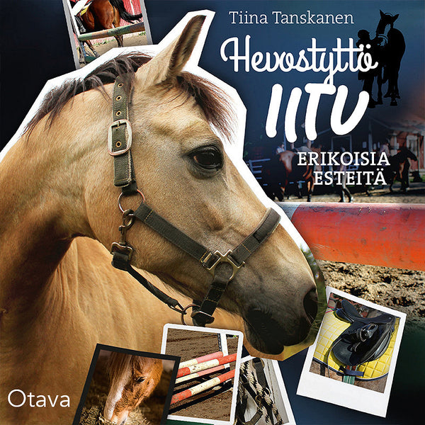 Erikoisia esteitä – Ljudbok – Laddas ner-Digitala böcker-Axiell-peaceofhome.se