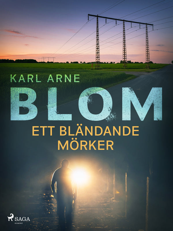 Ett bländande mörker – E-bok – Laddas ner-Digitala böcker-Axiell-peaceofhome.se