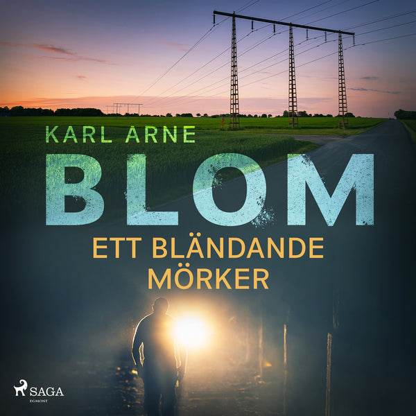 Ett bländande mörker – Ljudbok – Laddas ner-Digitala böcker-Axiell-peaceofhome.se