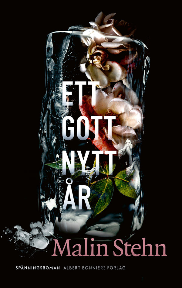 Ett gott nytt år – E-bok – Laddas ner-Digitala böcker-Axiell-peaceofhome.se