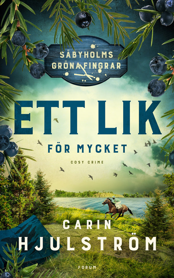 Ett lik för mycket – E-bok – Laddas ner-Digitala böcker-Axiell-peaceofhome.se