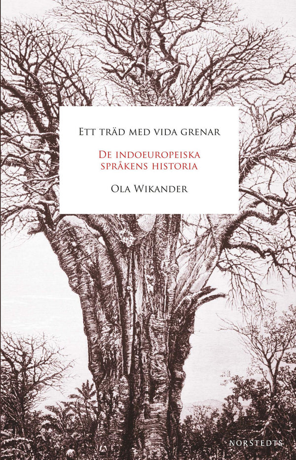 Ett träd med vida grenar : de indoeuropeiska språkens historia – E-bok – Laddas ner-Digitala böcker-Axiell-peaceofhome.se