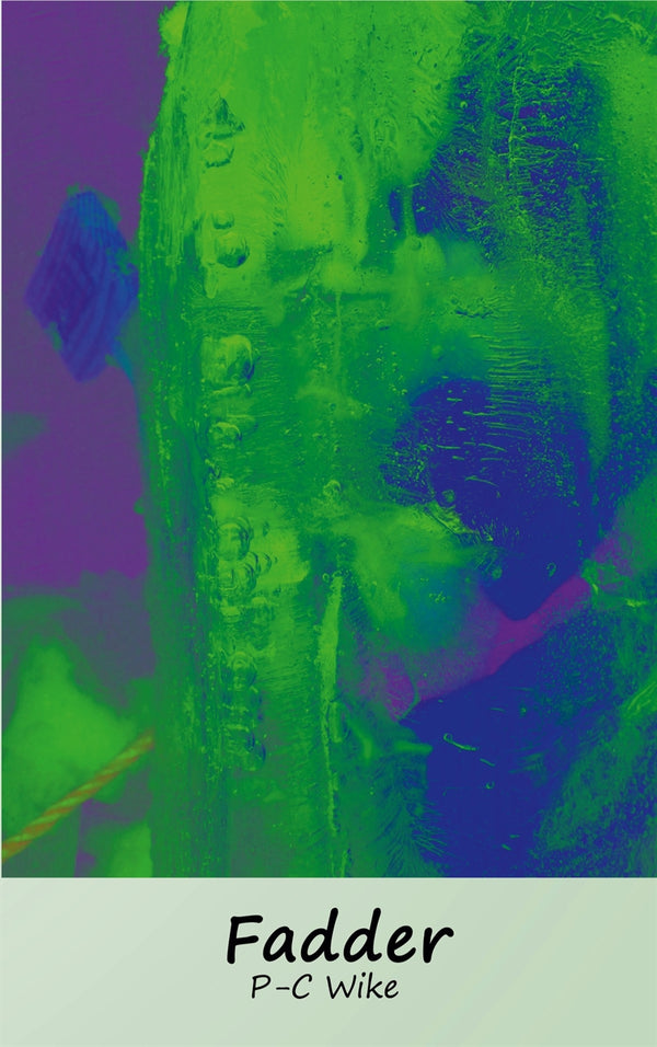 Fadder: Spår av vägledning i köttrymden – E-bok – Laddas ner-Digitala böcker-Axiell-peaceofhome.se