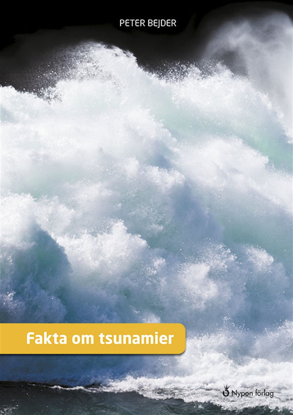 Fakta om tsunamier – E-bok – Laddas ner-Digitala böcker-Axiell-peaceofhome.se