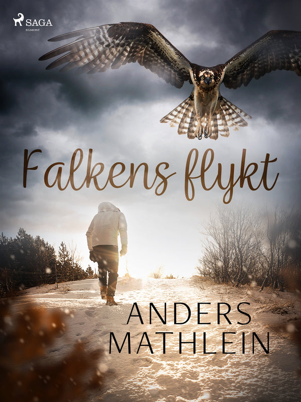 Falkens flykt – E-bok – Laddas ner-Digitala böcker-Axiell-peaceofhome.se