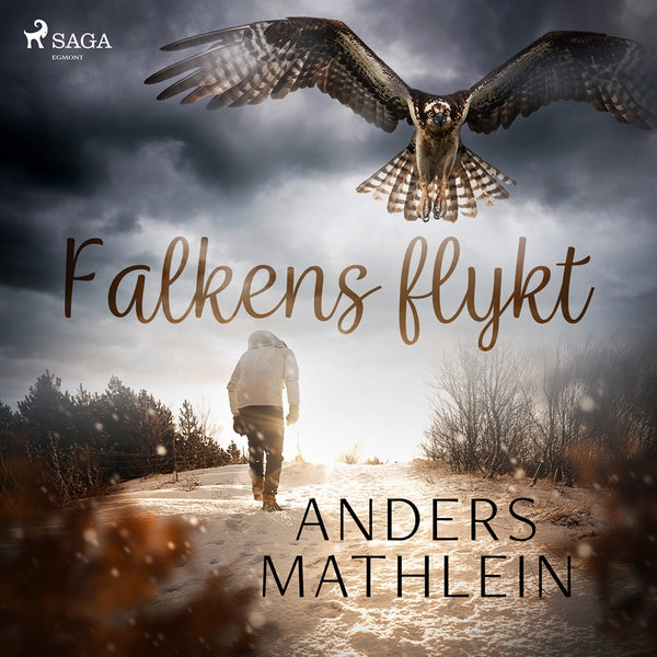 Falkens flykt – Ljudbok – Laddas ner-Digitala böcker-Axiell-peaceofhome.se