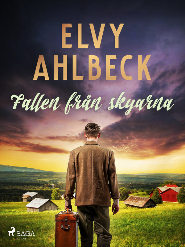 Fallen från skyarna – E-bok – Laddas ner-Digitala böcker-Axiell-peaceofhome.se