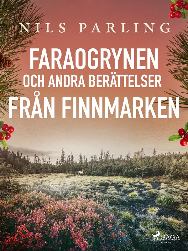 Faraogrynen och andra berättelser från Finnmarken – E-bok – Laddas ner-Digitala böcker-Axiell-peaceofhome.se