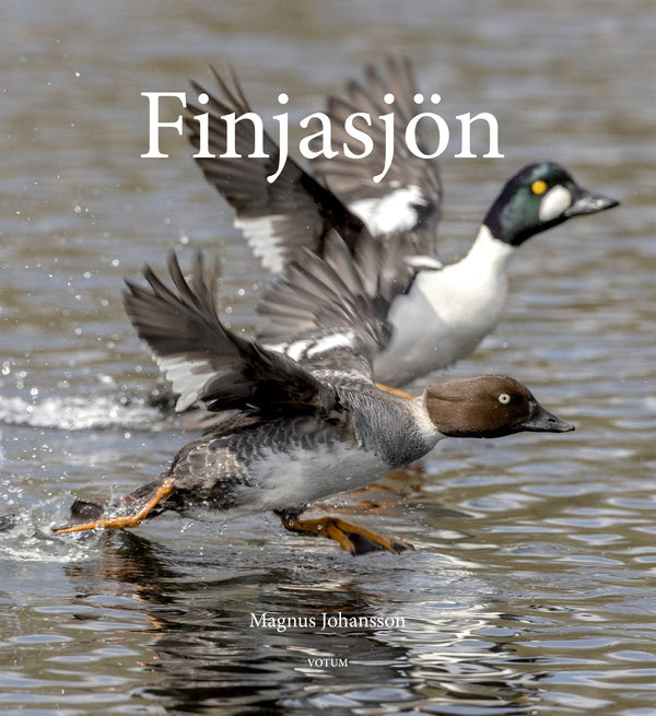 Finjasjön – E-bok – Laddas ner-Digitala böcker-Axiell-peaceofhome.se