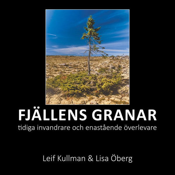 Fjällens granar: tidiga invandrare och enastående överlevare – E-bok – Laddas ner-Digitala böcker-Axiell-peaceofhome.se