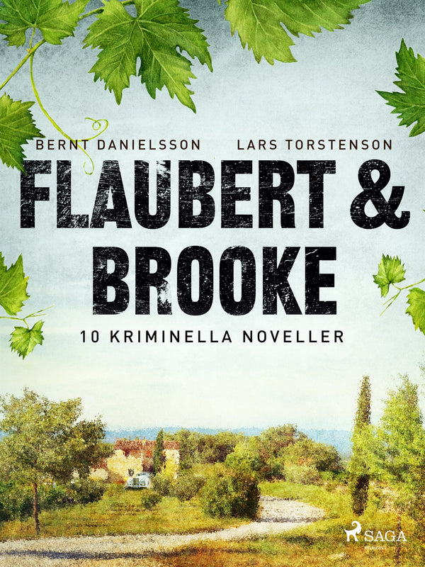 Flaubert &amp; Brooke – E-bok – Laddas ner-Digitala böcker-Axiell-peaceofhome.se