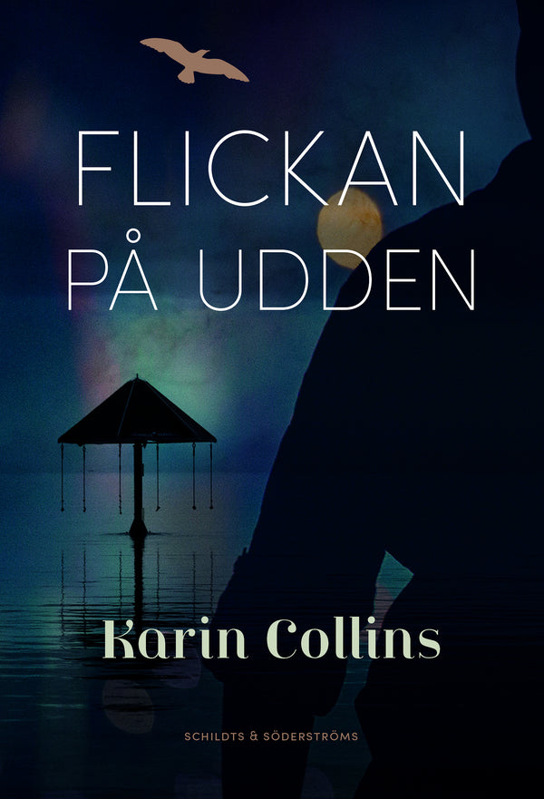 Flickan på udden – E-bok – Laddas ner-Digitala böcker-Axiell-peaceofhome.se