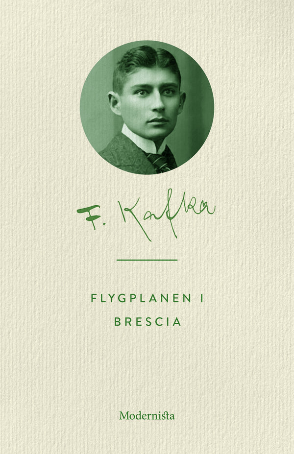 Flygplanen i Brescia – E-bok – Laddas ner-Digitala böcker-Axiell-peaceofhome.se