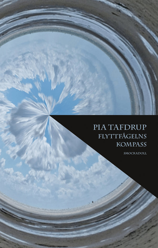 Flyttfågelns kompass – E-bok – Laddas ner-Digitala böcker-Axiell-peaceofhome.se