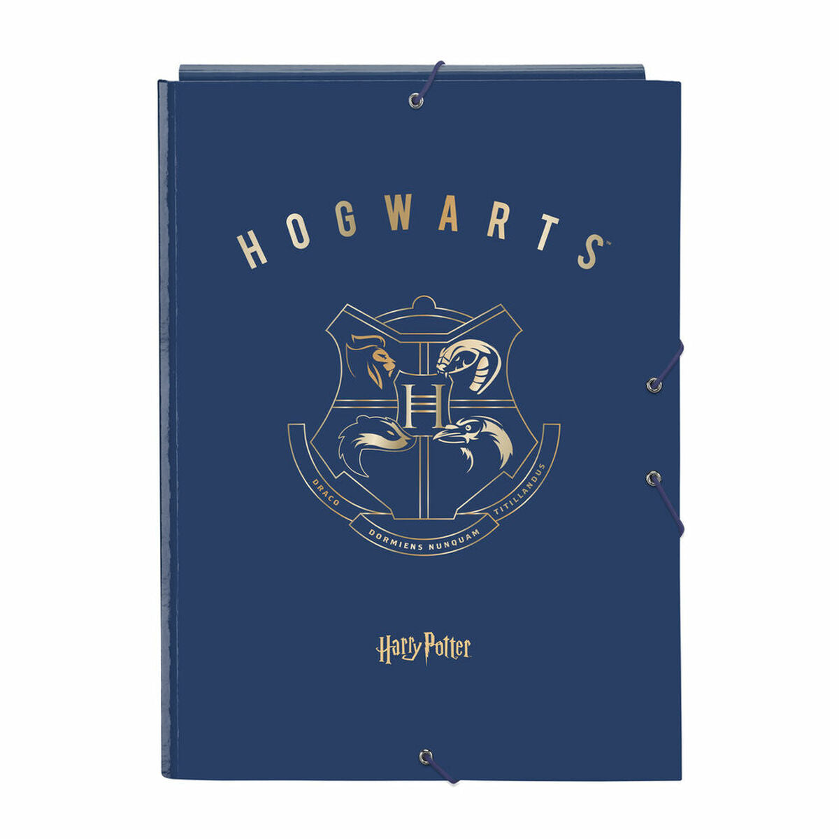 Folder Harry Potter Magical Brun Marinblå A4 (26 x 33.5 x 2.5 cm)-Kontor och Kontorsmaterial, Kontorsmaterial-Harry Potter-peaceofhome.se