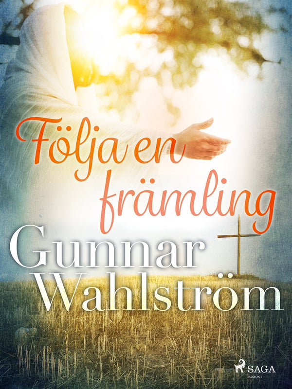 Följa en främling – E-bok – Laddas ner-Digitala böcker-Axiell-peaceofhome.se