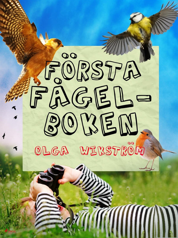 Första fågelboken – E-bok – Laddas ner-Digitala böcker-Axiell-peaceofhome.se