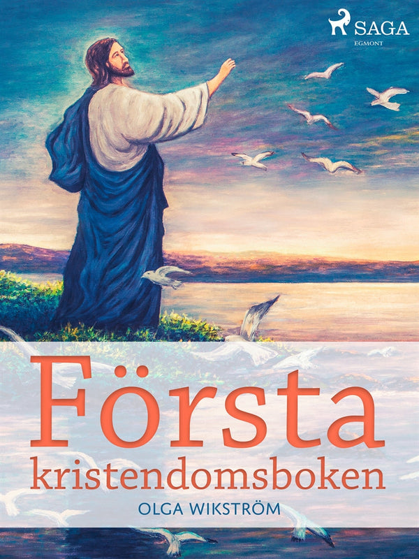 Första kristendomsboken – E-bok – Laddas ner-Digitala böcker-Axiell-peaceofhome.se