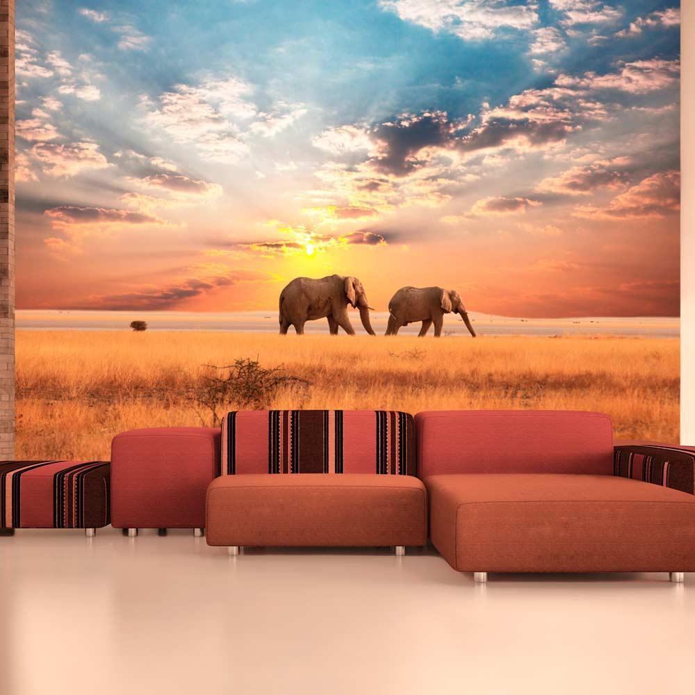 Fototapet - African savanna elephants-Fototapeter-Artgeist-peaceofhome.se