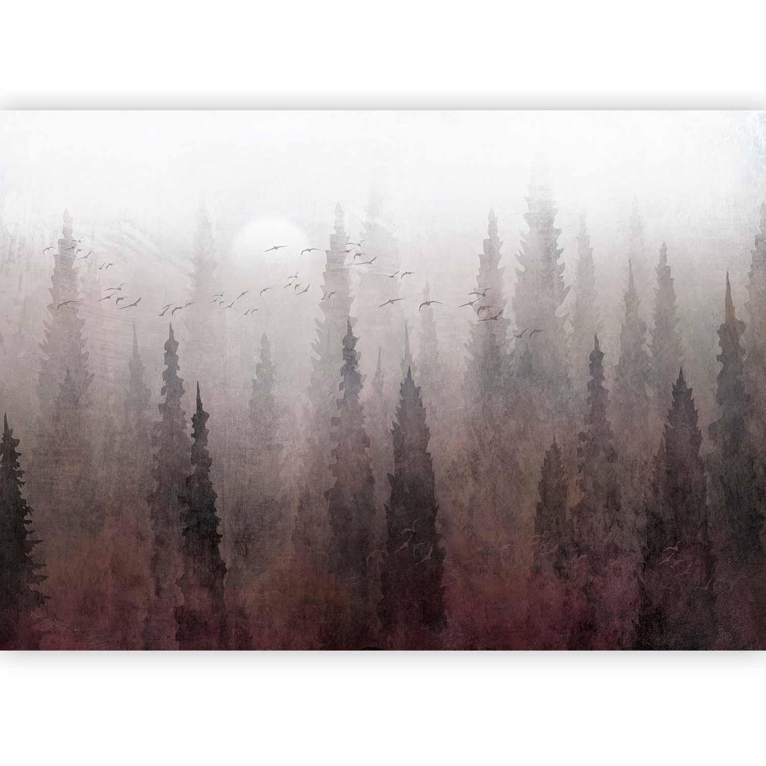 Fototapet - Bird's flight over treetops - landscape of a dark forest in fog-Fototapeter-Artgeist-peaceofhome.se