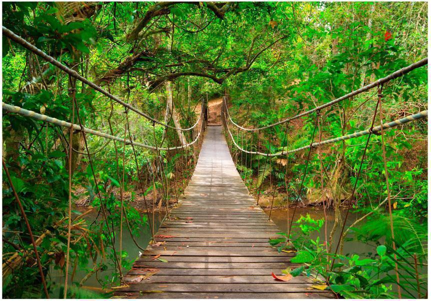 Fototapet - Bridge amid greenery-Fototapeter-Artgeist-peaceofhome.se