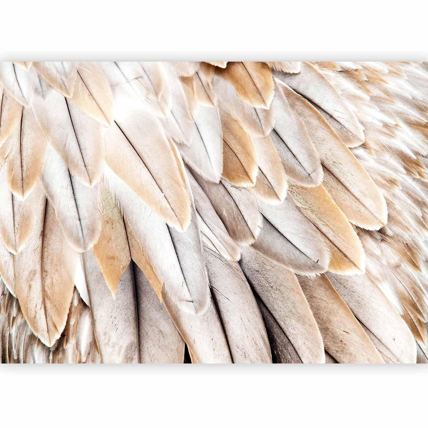 Fototapet - Close-up of bird's wings - uniform close-up on beige bird feathers-Fototapeter-Artgeist-peaceofhome.se