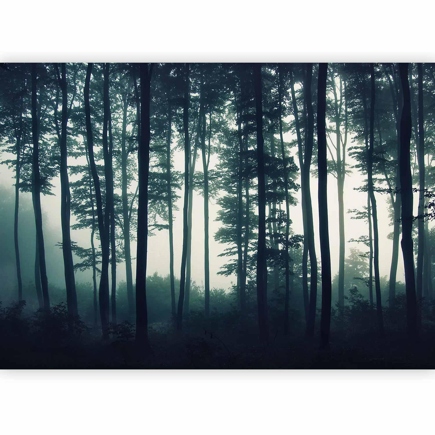 Fototapet - Dark Forest-Fototapeter-Artgeist-peaceofhome.se