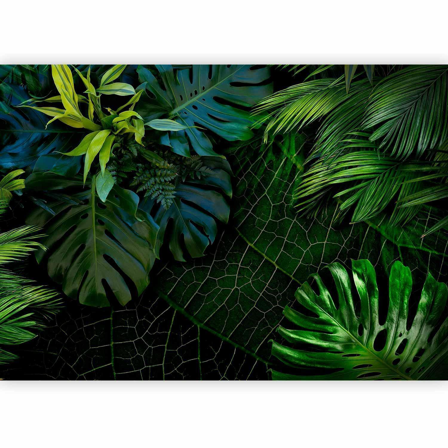 Fototapet - Dark Jungle-Fototapeter-Artgeist-peaceofhome.se