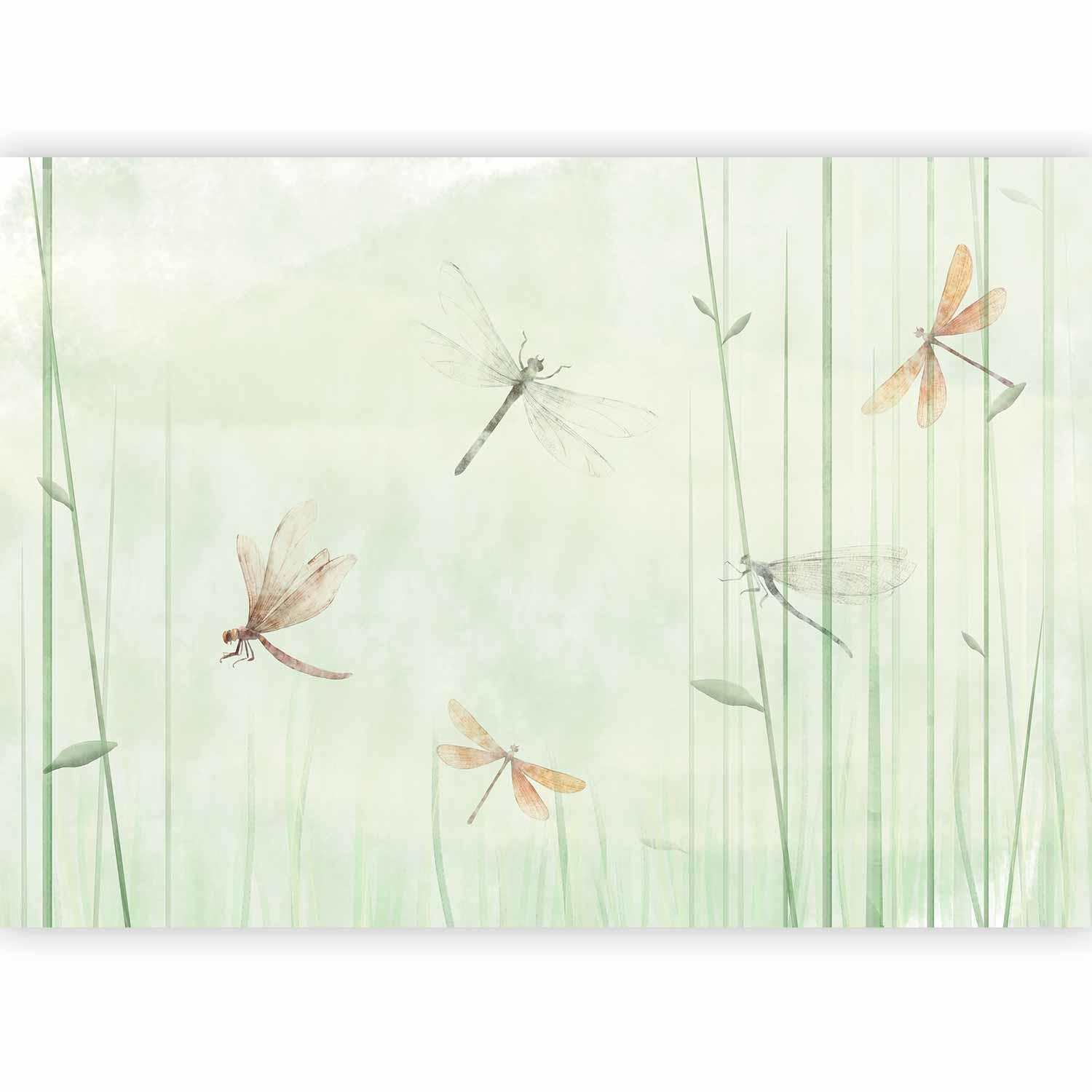 Fototapet - Dragonflies in the Meadow-Fototapeter-Artgeist-peaceofhome.se