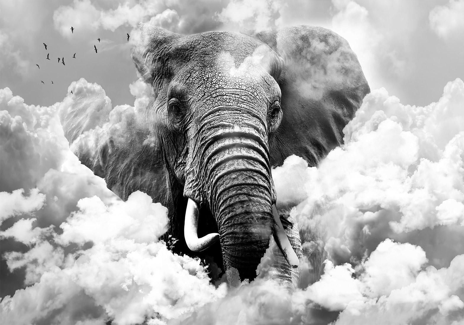 Fototapet - Elephant in the Clouds (Black and White)-Fototapeter-Artgeist-peaceofhome.se