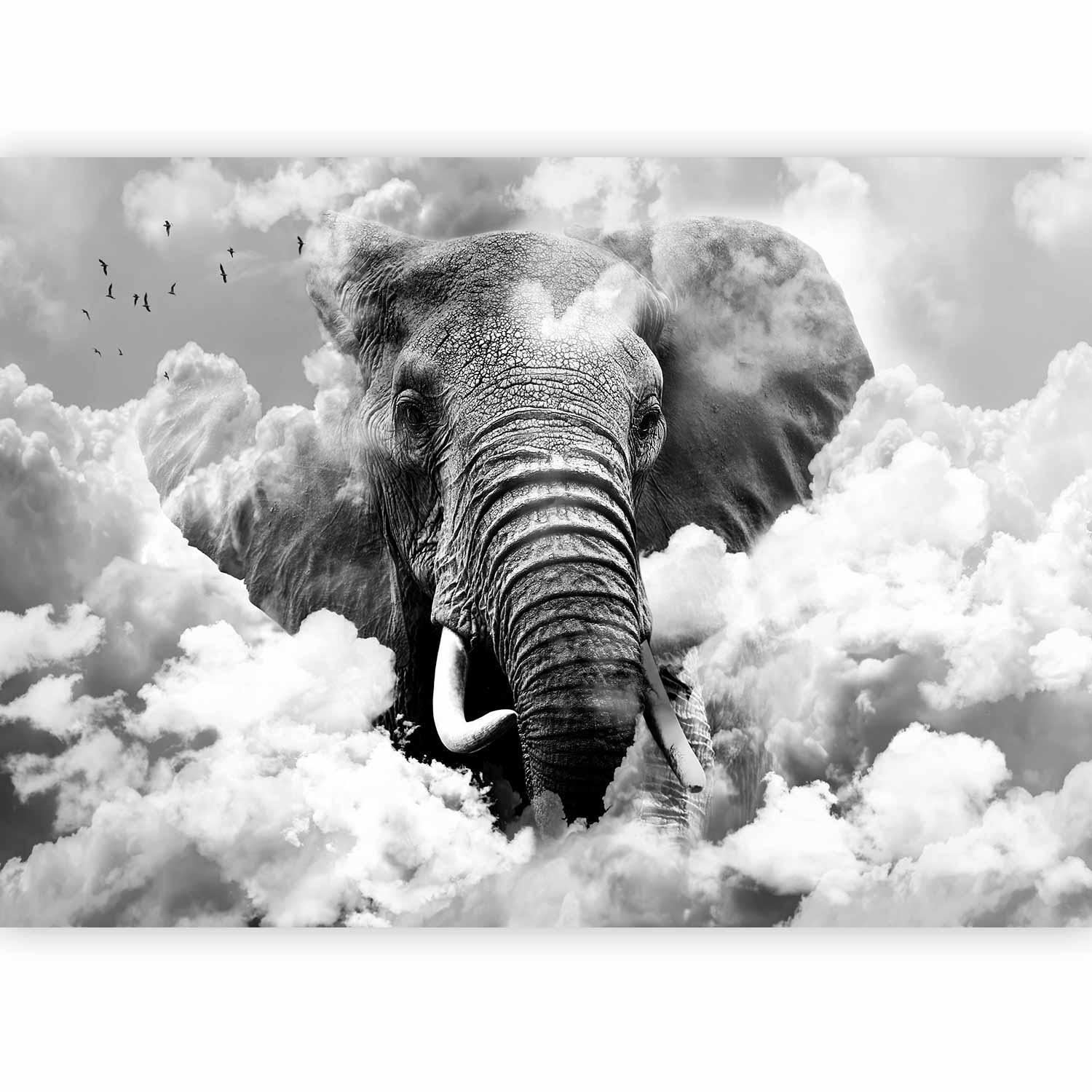 Fototapet - Elephant in the Clouds (Black and White)-Fototapeter-Artgeist-peaceofhome.se