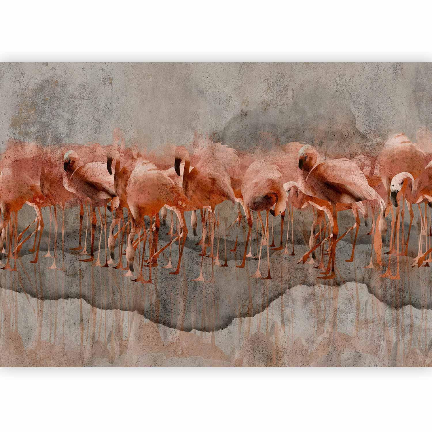 Fototapet - Exotic birds - pink flamingos with shadow on grey concrete background-Fototapeter-Artgeist-peaceofhome.se