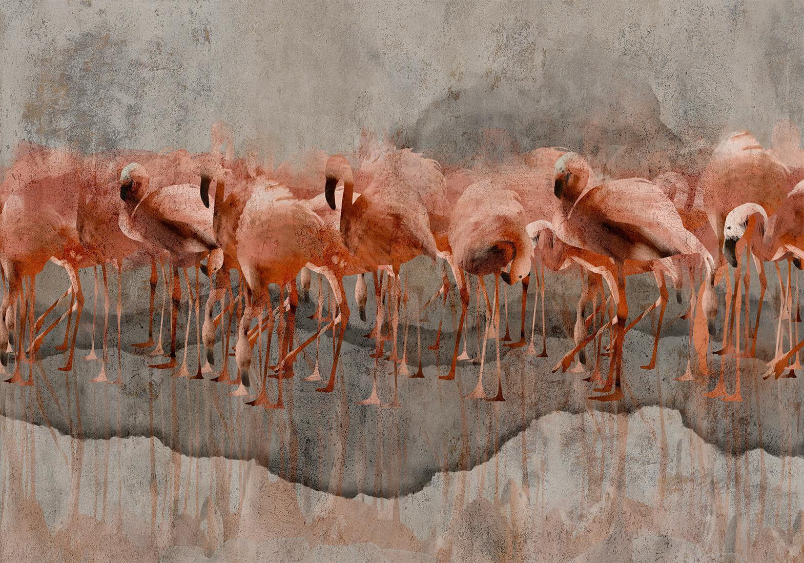 Fototapet - Exotic birds - pink flamingos with shadow on grey concrete background-Fototapeter-Artgeist-peaceofhome.se