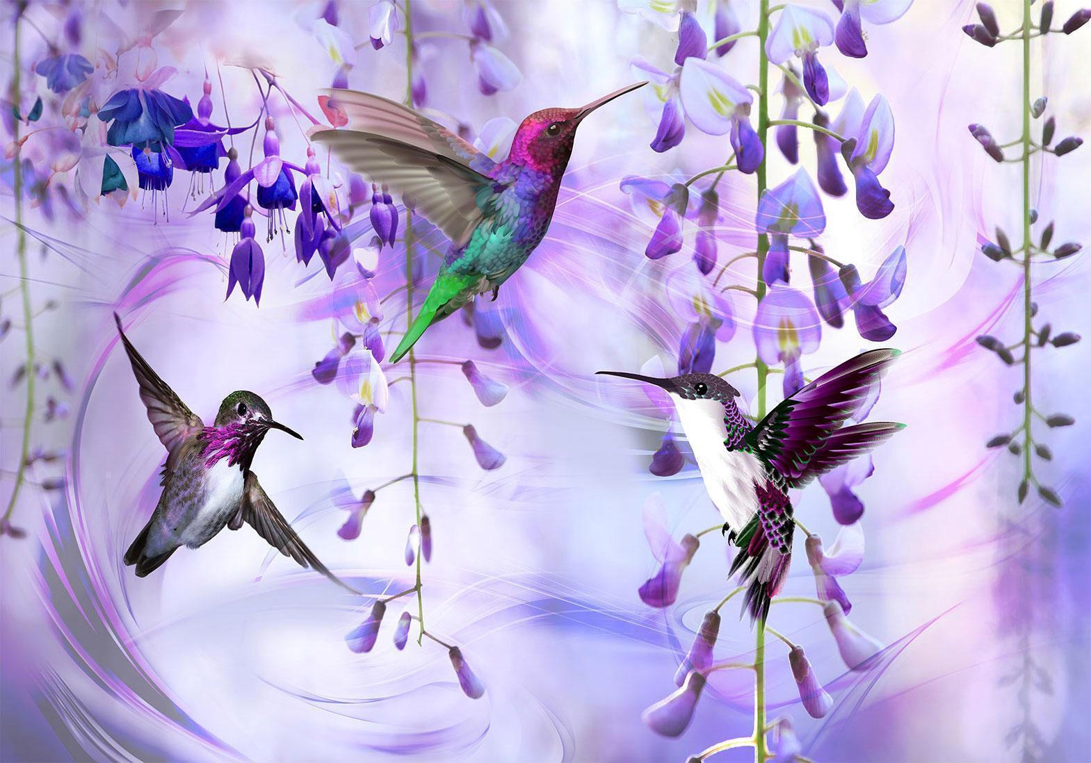 Fototapet - Flying Hummingbirds (Violet)-Fototapeter-Artgeist-peaceofhome.se