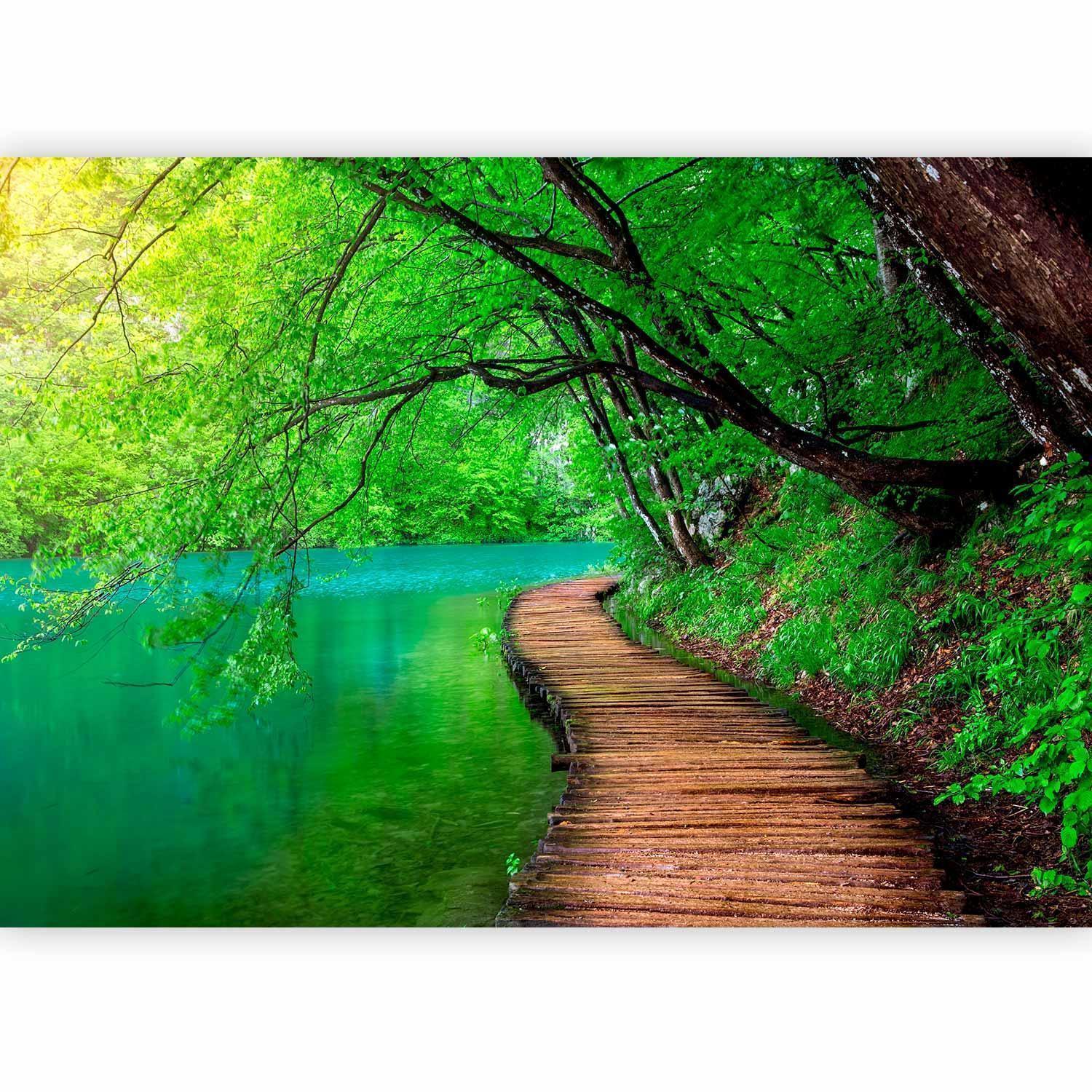 Fototapet - Green peace-Fototapeter-Artgeist-peaceofhome.se