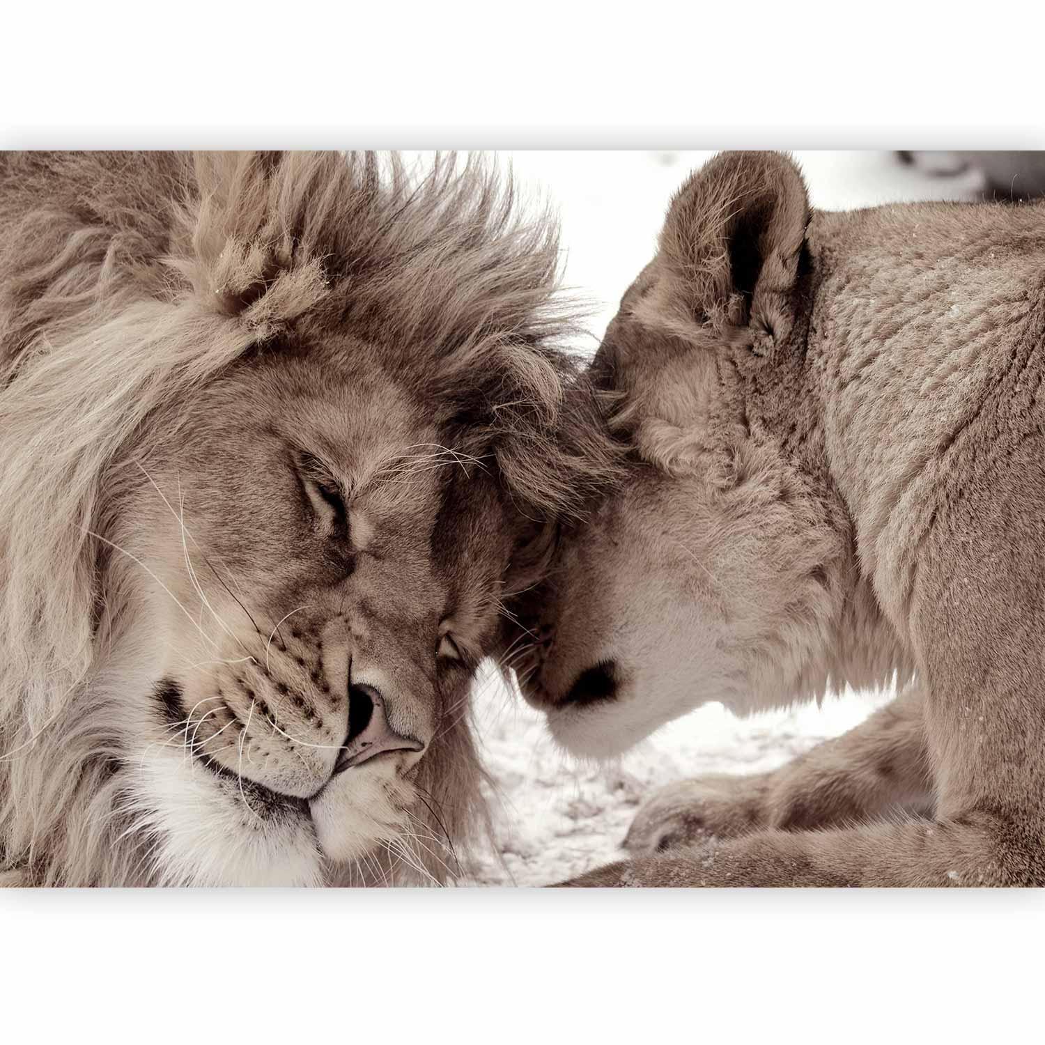 Fototapet - Lion Tenderness (Sepia)-Fototapeter-Artgeist-peaceofhome.se