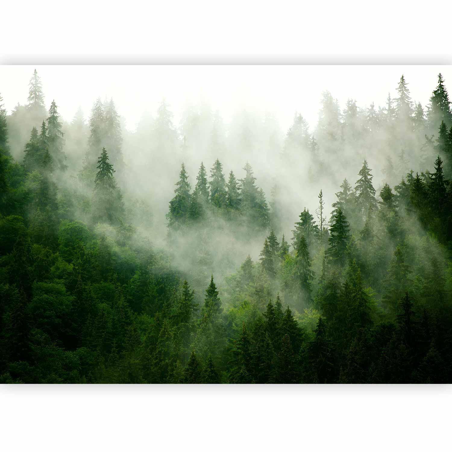 Fototapet - Mountain Forest (Green)-Fototapeter-Artgeist-peaceofhome.se