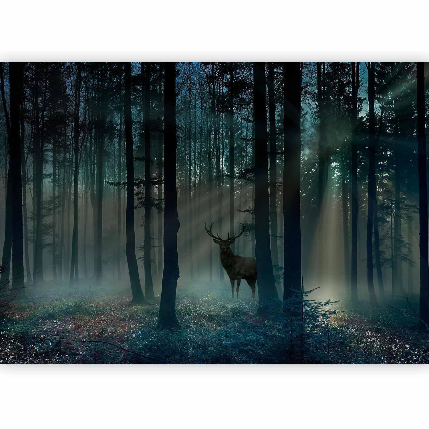 Fototapet - Mystical Forest - Third Variant-Fototapeter-Artgeist-peaceofhome.se