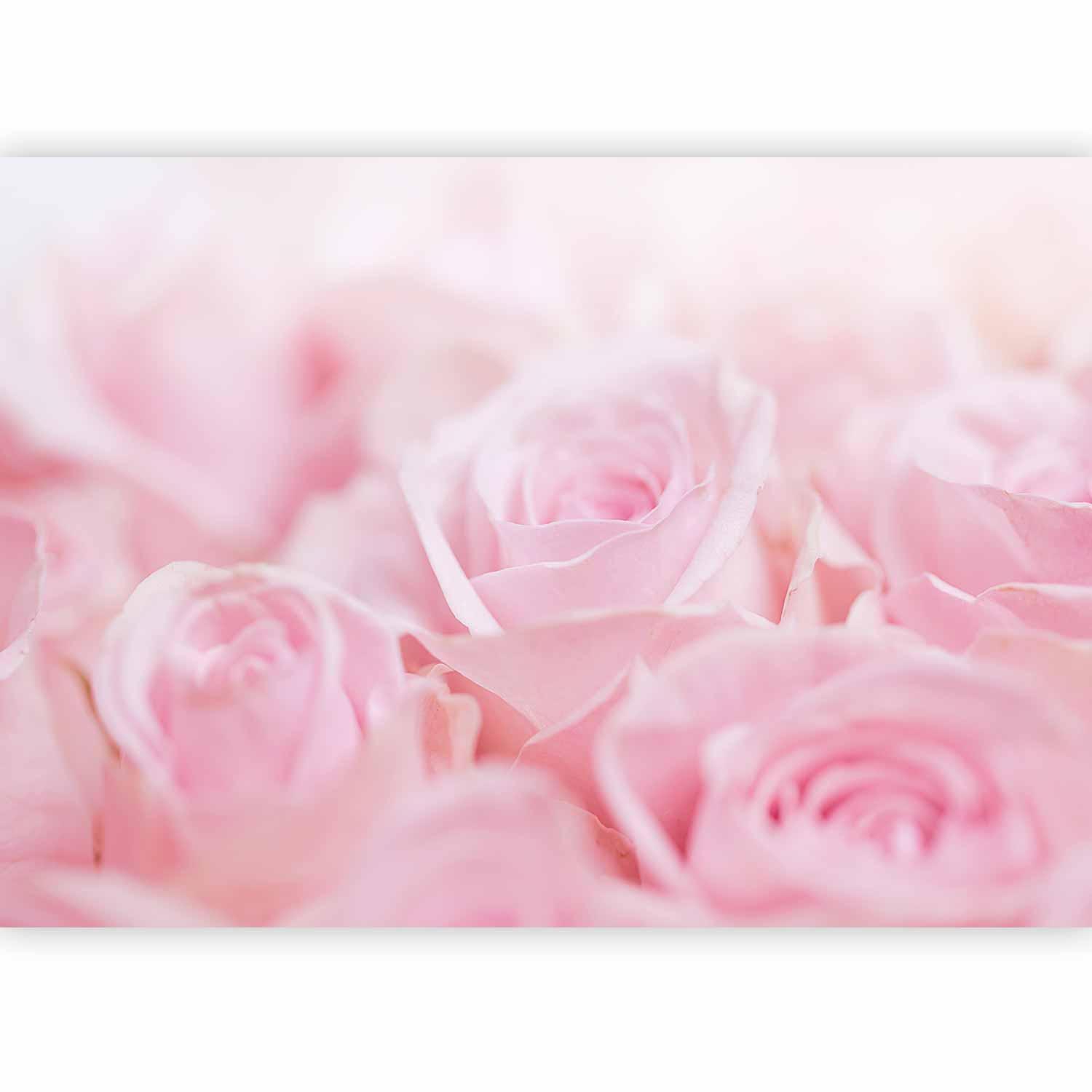 Fototapet - Ocean of Roses-Fototapeter-Artgeist-peaceofhome.se