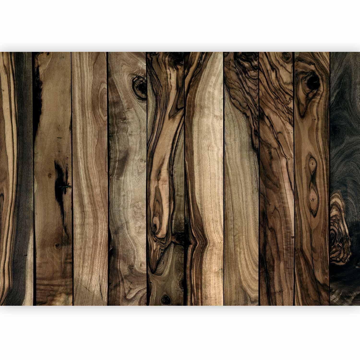 Fototapet - Olive Wood