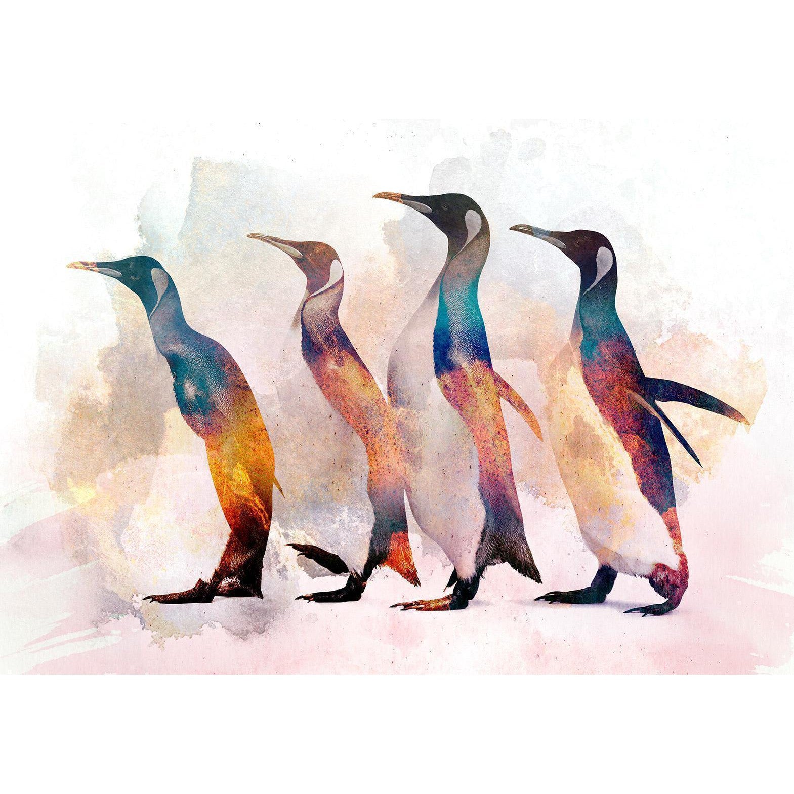 Fototapet - Penguin Wandering-Fototapeter-Artgeist-peaceofhome.se