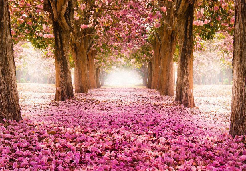 Fototapet - Pink grove-Fototapeter-Artgeist-peaceofhome.se