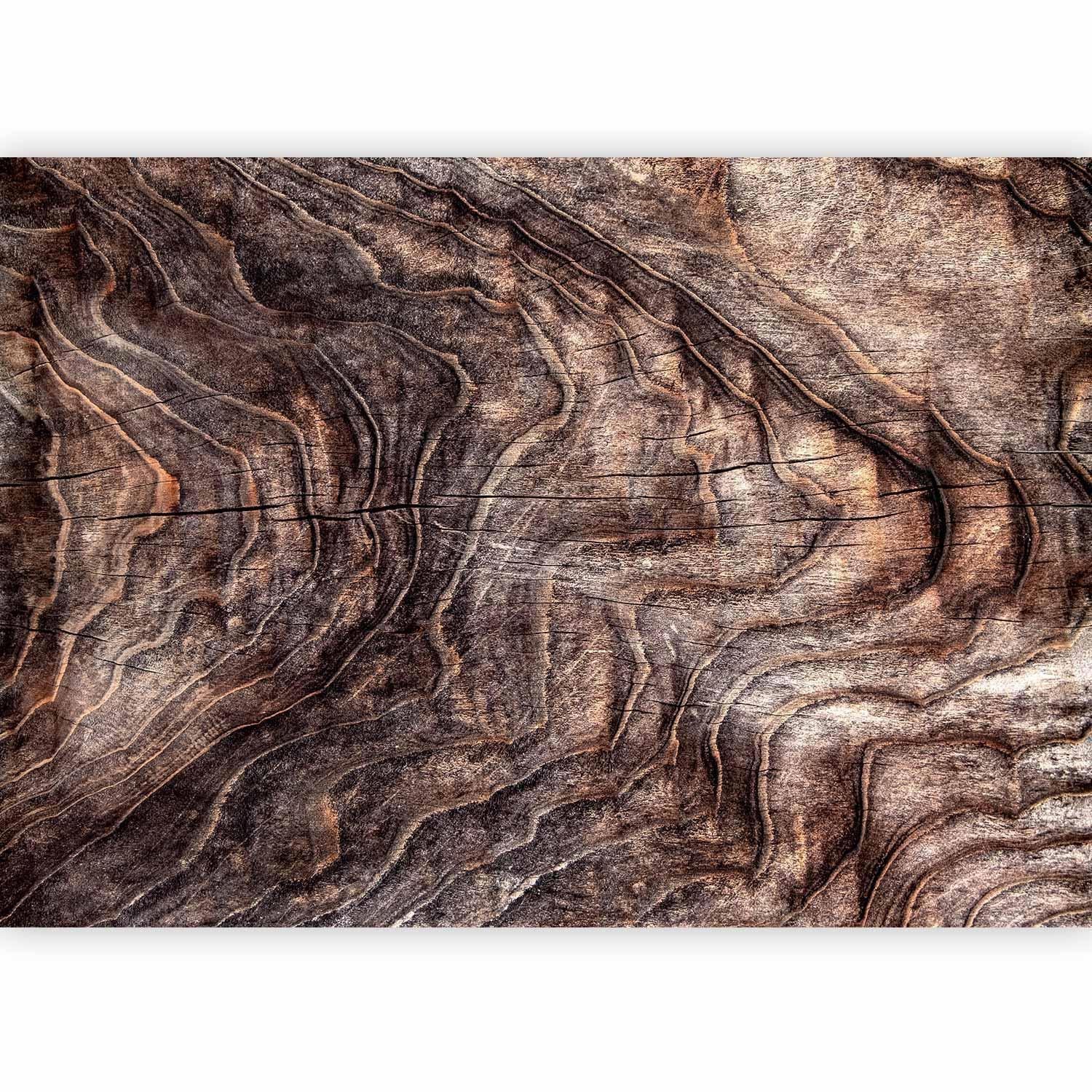 Fototapet - Signs of the times - an abstract background with the wrinkled bark of an old tree-Fototapeter-Artgeist-peaceofhome.se